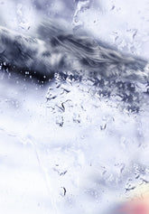 Coming Back | Edition 1 of 7