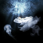 Connection | Edition 2 of 6