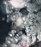 Camouflage | Edition 1 of 7