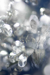 Reverie | Edition 1 of 7