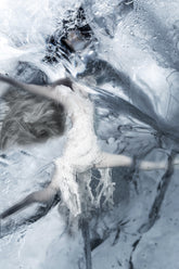 Carousel | Edition 1 of 7